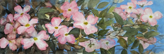 Looking a Little Pink